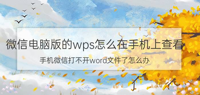 微信电脑版的wps怎么在手机上查看 手机微信打不开word文件了怎么办？